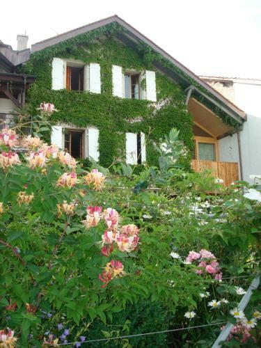 Bed & Breakfast Wonderlandscape Guest House