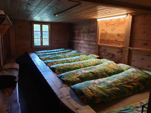 Hostal Naturfreundehaus Gorneren