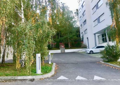 Apartamento Comfortable, Sunny, Quiet, Good Location!