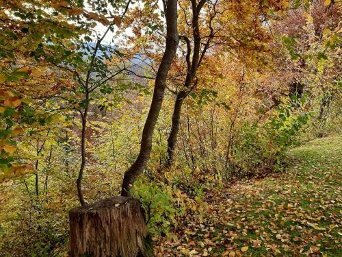 Hostal Blanche-neige