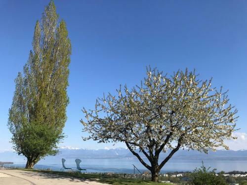 Hostal Domaine Beauregard