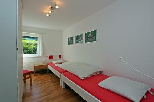 Apartamento Tgesa La Niva 4