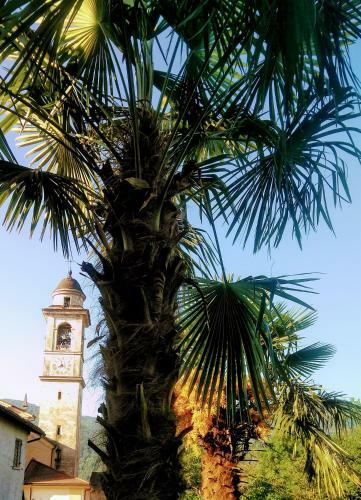 Hotel Chiave D'oro