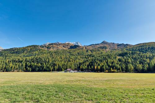 Apartamento Chesa Allegria - Sils Maria