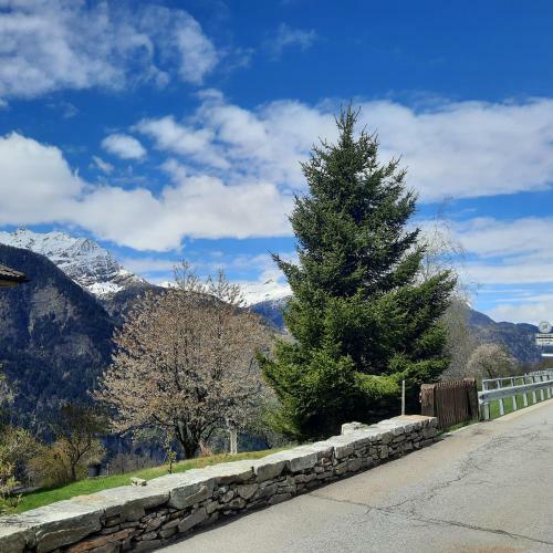 Apartamento Baita Dal Gat