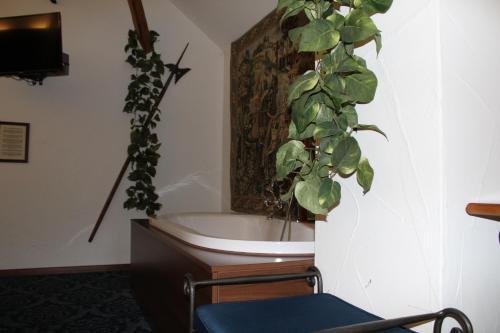 Art Design Hotel Herberge