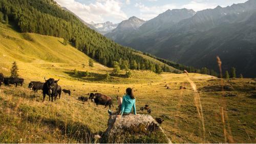 Bouillets Mountain & Garden Chalet 12 Pers