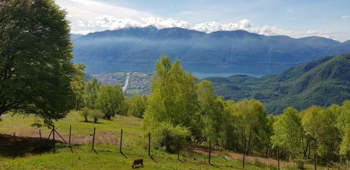 Apartamento Appartamento Di Vacanza Casa Leoni