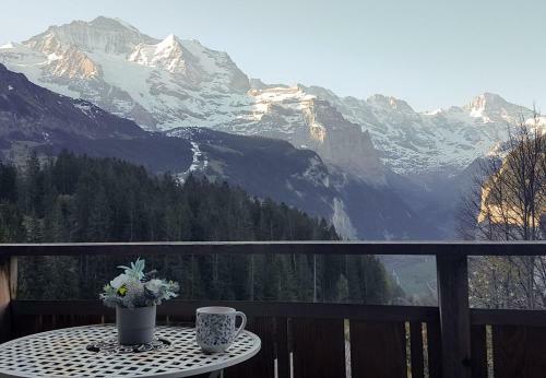Chalet Ledibach