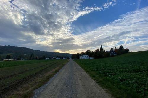 Apartamento Brulaire B�singen Am Hochrhein