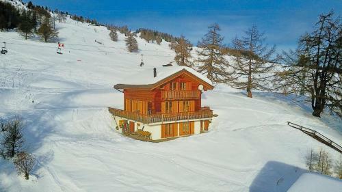 Narnia Ski In & Ski Out Chalet 14 Pers