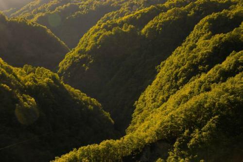 Wild Valley Romantic Escape