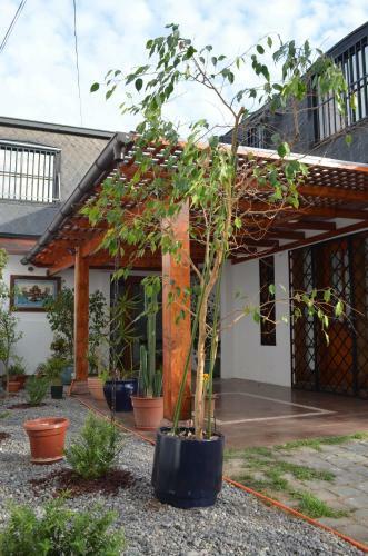 Bed & Breakfast Los Araucanos