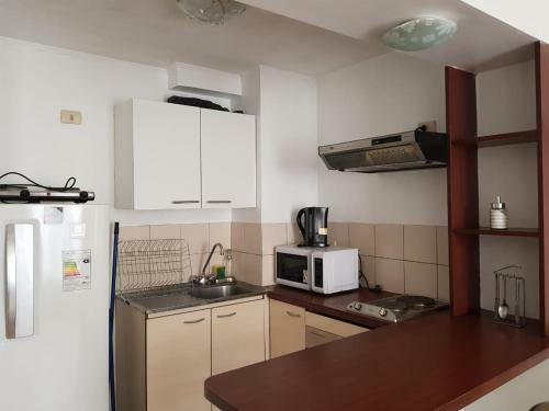 Apartamento Depto Metro La Moneda