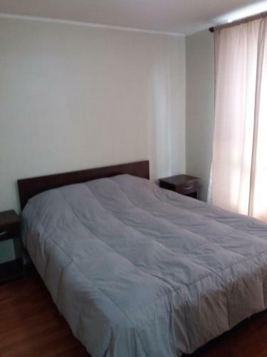 Apartamento Depto Metro Irarrazaval