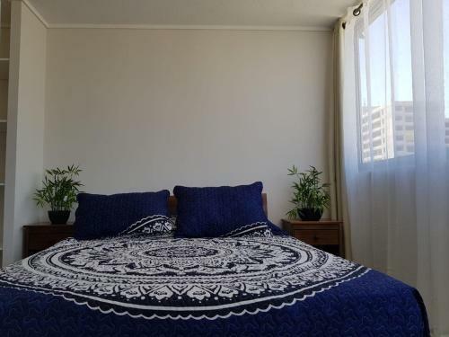 Radal 1 - Apartamento- Metro Telet�n