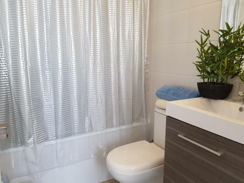 Radal 1 - Apartamento- Metro Telet�n