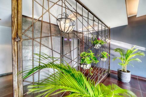 Apartamento Regina Home