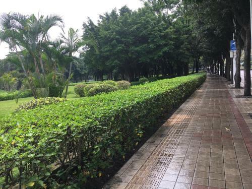 Virtuous World Hotel
