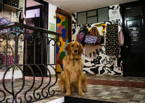 Bed & Breakfast Casa Mood Usaquen