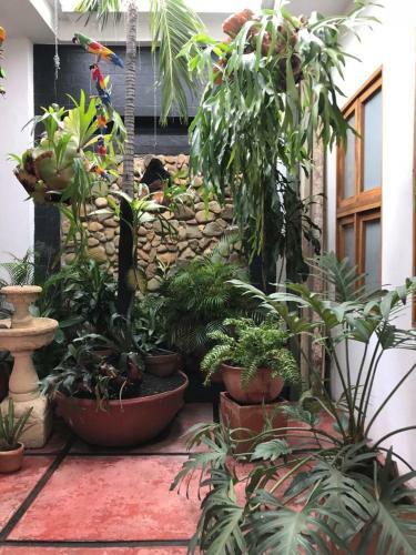 Apartamento Red Parrot San Antonio