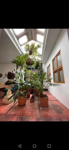Apartamento Red Parrot San Antonio