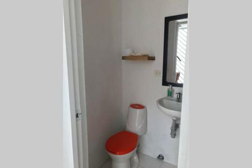 Apartamento Black Parrot San Antonio