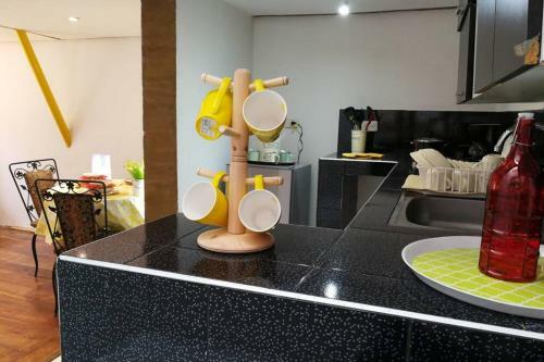 Apartamento Yelow Parrot San Antonio