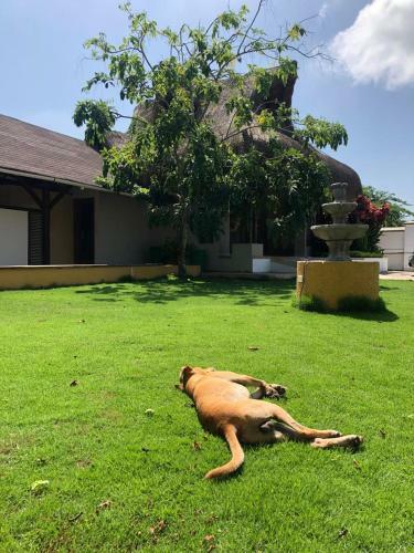 Hotel Cartagena Beach Bungalows