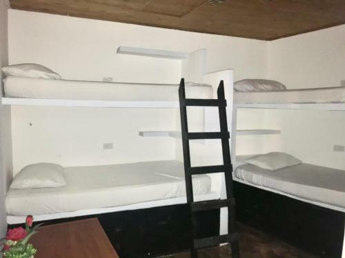 Hostal Casa Mam� Waldy New