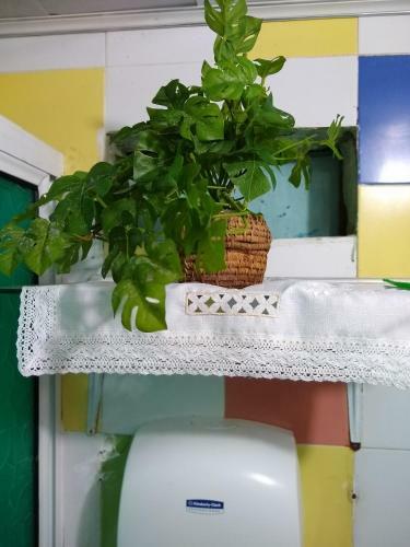 Hostal Posada Green Sea San Luis