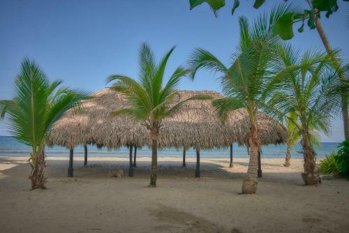 Apartaestudio Cove�itas 202