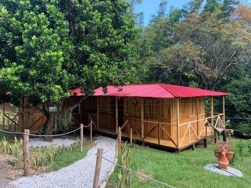 Eco-glamping Shalom