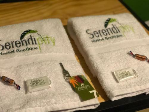 Serendipity Hostel Boutique