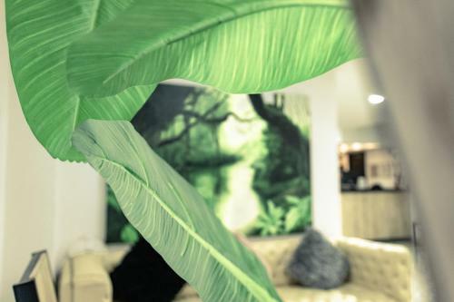 Mandala Hotel Medellin