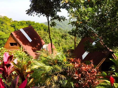 Lodge Hostal Sierra Minca