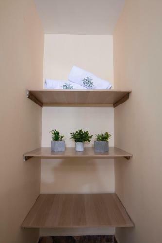 Hotel Entre Verdes Glamping