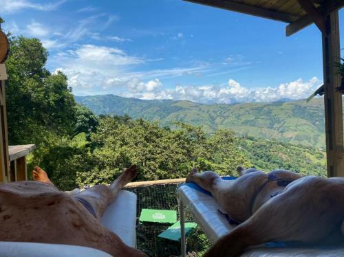 Hotel Entre Verdes Glamping