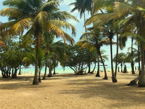 Lodge Nub� Boutique Hostel Palomino