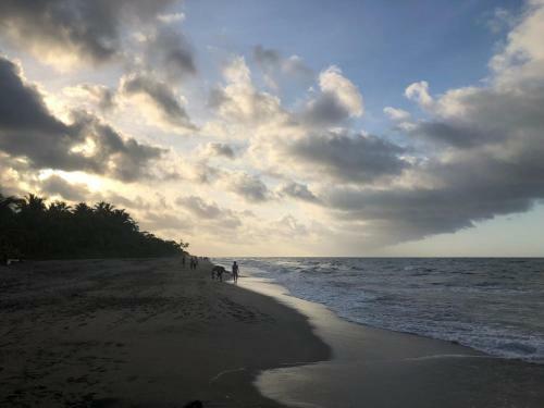 Lodge Nub� Boutique Hostel Palomino