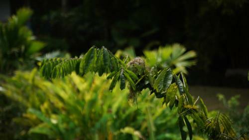 Lodge Finca La Argelia