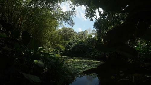 Lodge Finca La Argelia