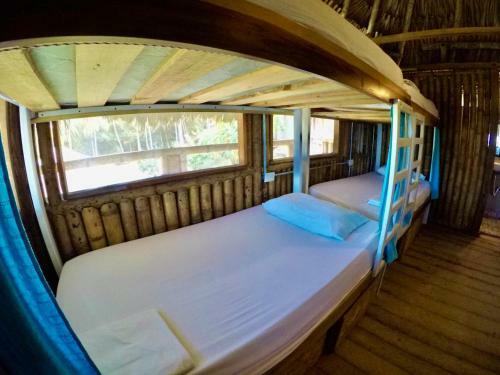 Hostal Coco Beach Palomino Hostel