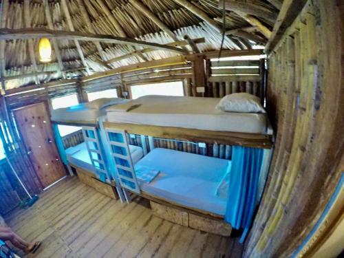 Hostal Coco Beach Palomino Hostel