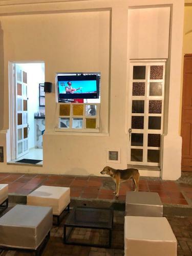 Kava Hostal