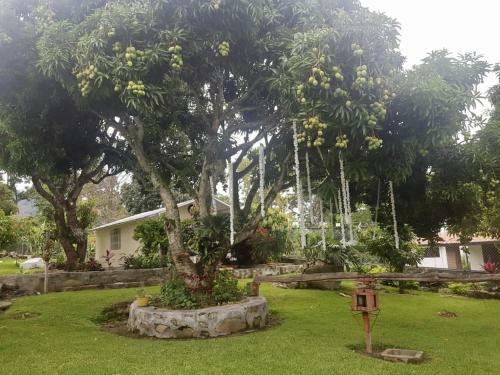 Agroturismo Casa de Campo Erika Sofia