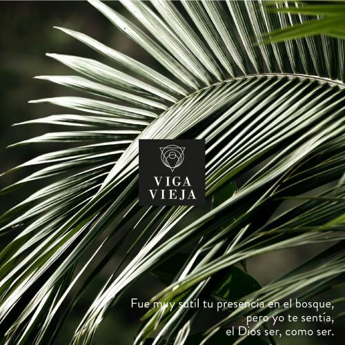 Lodge Viga Vieja Alojamiento