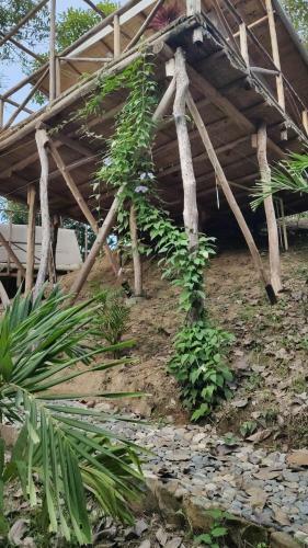 Serrano Glamping