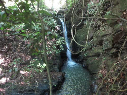 Las Cascadas De Andromeda Glamping