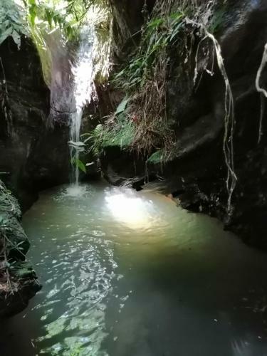 Las Cascadas De Andromeda Glamping